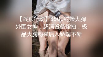 【战狼行动】3500约操大胸外围女神，超清设备偷拍，极品大胸粉嫩后入娇喘不断