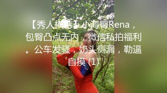 【秀人模特】小海臀Rena，包臀凸点无内，微信私拍福利。公车发骚，奶头侧漏，勒逼自摸 (1)