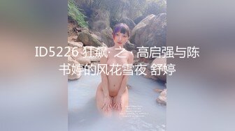 ID5226 狂飙· 之 · 高启强与陈书婷的风花雪夜 舒婷