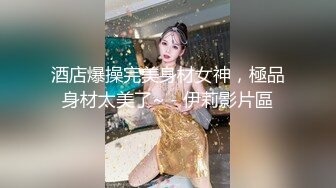 酒店爆操完美身材女神，極品身材太美了~ - 伊莉影片區