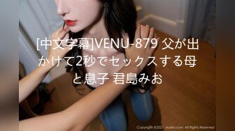 [中文字幕]VENU-879 父が出かけて2秒でセックスする母と息子 君島みお