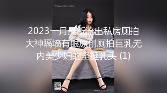 2023一月最新流出私房厕拍大神隔墙有眼原创厕拍巨乳无内美少妇的坚挺乳头 (1)