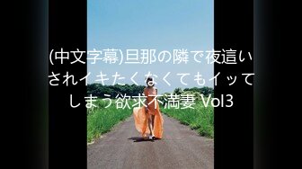 (中文字幕)旦那の隣で夜這いされイキたくなくてもイッてしまう欲求不満妻 Vol3