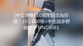 [中文字幕] 10周年記念為目標！10，000根×中出波多野結衣！ HNDS061