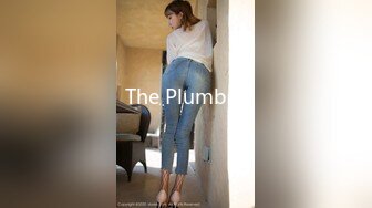 The Plumber