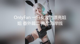 OnlyFan 一日女友的漂亮姐姐 番外篇二 热恋海岸线