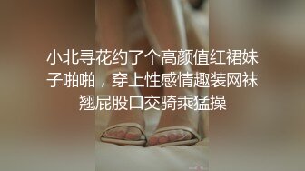 小北寻花约了个高颜值红裙妹子啪啪，穿上性感情趣装网袜翘屁股口交骑乘猛操