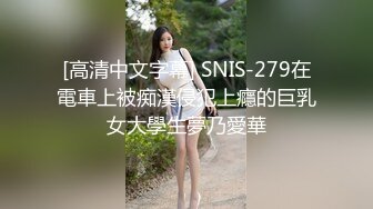 [高清中文字幕] SNIS-279在電車上被痴漢侵犯上癮的巨乳女大學生夢乃愛華