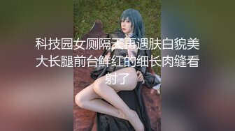 科技园女厕隔天再遇肤白貌美大长腿前台鲜红的细长肉缝看射了