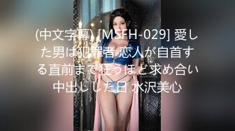 (中文字幕) [MSFH-029] 愛した男は犯罪者 恋人が自首する直前まで狂うほど求め合い中出しした日 水沢美心