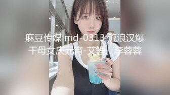 麻豆传媒 md-0313 流浪汉爆干母女庆元宵-艾鲤、李蓉蓉