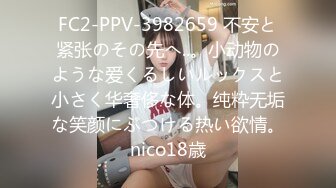 【女神感谢祭完成粉丝心中色色的梦想】搭讪狼粉车震达成他的小愿望内射中出国语中字