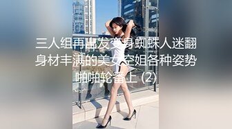 三人组再出发变身蜘蛛人迷翻身材丰满的美女空姐各种姿势啪啪轮番上 (2)