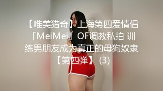 【唯美猎奇】上海第四爱情侣「MeiMei」OF调教私拍 训练男朋友成为真正的母狗奴隶【第四弹】 (3)