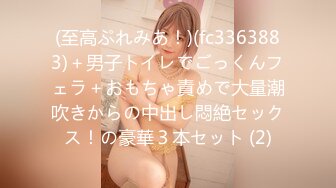 (至高ぷれみあ！)(fc3363883)＋男子トイレでごっくんフェラ＋おもちゃ責めで大量潮吹きからの中出し悶絶セックス！の豪華３本セット (2)