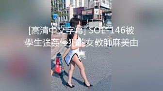 [高清中文字幕] SOE-146被學生強姦侵犯的女教師麻美由真