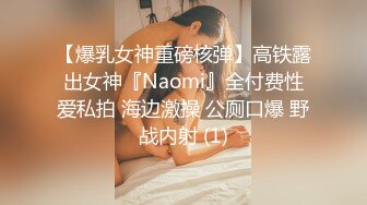 【爆乳女神重磅核弹】高铁露出女神『Naomi』全付费性爱私拍 海边激操 公厕口爆 野战内射 (1)