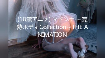 (18禁アニメ) マドンナ ～完熟ボディCollection～THE ANIMATION