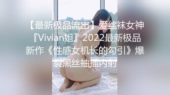 【最新极品流出】爱丝袜女神『Vivian姐』2022最新极品新作《性感女机长的勾引》爆裂黑丝抽插内射