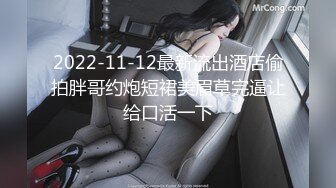 2022-11-12最新流出酒店偷拍胖哥约炮短裙美眉草完逼让给口活一下