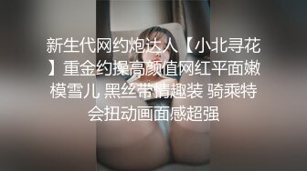 新生代网约炮达人【小北寻花】重金约操高颜值网红平面嫩模雪儿 黑丝带情趣装 骑乘特会扭动画面感超强