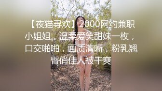 【夜猫寻欢】2000网约兼职小姐姐，温柔爱笑甜妹一枚，口交啪啪，画质清晰，粉乳翘臀俏佳人被干爽