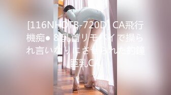 [116NHDTB-720D] CA飛行機痴● 8 乳首リモバイで操られ言いなりにさせられた釣鐘巨乳CA