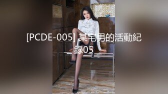 [PCDE-005] 某宅男的活動紀錄05