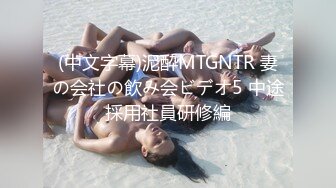 (中文字幕)泥酔MTGNTR 妻の会社の飲み会ビデオ5 中途採用社員研修編