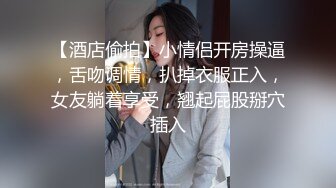 【酒店偷拍】小情侣开房操逼，舌吻调情，扒掉衣服正入，女友躺着享受，翘起屁股掰穴插入