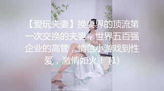 【爱玩夫妻】换妻界的顶流第一次交换的夫妻，世界五百强企业的高管，情色小游戏到性爱，激情如火！ (1)