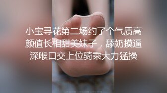 小宝寻花第二场约了个气质高颜值长相甜美妹子，舔奶摸逼深喉口交上位骑乘大力猛操