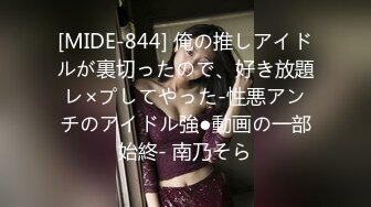 [MIDE-844] 俺の推しアイドルが裏切ったので、好き放題レ×プしてやった-性悪アンチのアイドル強●動画の一部始終- 南乃そら