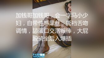 加钱哥加钱哥，会一字马小少妇，自带性感黑丝，撕裆舌吻调情，舔蛋口交活很棒，大屁股骑坐后入爆插