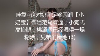 哇靠~这对奶子足够圆润【小奶宝】御姐范蝴蝶逼，小狗式高抬腿，桃源洞已经湿得一塌糊涂，兄弟们操她 (3)