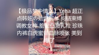 【极品梦中情女】Yeha 超正点韩妞の劲爆胴体 狗链束缚调教女神 羞耻凸激乳粒 珍珠内裤白虎蜜蚌血脉喷张 美到爆了