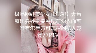 极品网红美少女【鹿初】天台露出曼妙身姿展现在众人面前，唯有尔等方可窥探的私人宠物77P1V