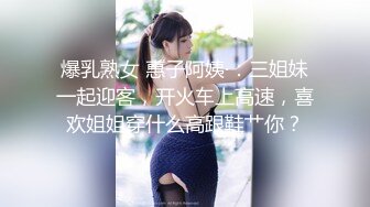 爆乳熟女 惠子阿姨·：三姐妹一起迎客，开火车上高速，喜欢姐姐穿什么高跟鞋艹你？