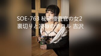 SOE-763 秘密捜査官の女2 裏切りと凌辱のテロル 吉沢明歩