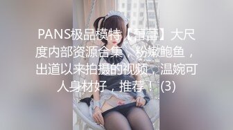 PANS极品模特【蕾蕾】大尺度内部资源合集，粉嫩鲍鱼，出道以来拍摄的视频，温婉可人身材好，推荐！ (3)