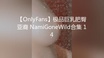 【OnlyFans】极品巨乳肥臀亚裔 NamiGoneWild合集 14