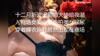 十二月新流出厕拍大神暗夜潜入商场女厕全景偷拍美女尿尿穿着睡衣拖鞋居然出现在商场厕所