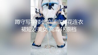 [118RCTS-019] 妄想アイテム究極進化シリーズ 女体化スキンダークサイド 3 ～呪いの皮で悪堕ち～ 超悪女の仮面付き編 逢見リカ 涼花くるみ