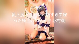 乳と尻とクビレが凄すぎて雇った極上肉体メイド 水野朝陽