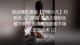 极品爆乳黑丝【野模小九】约粉丝上门啪啪 竟遇大屌粉丝爱不释手 连操两炮都舍不得从穴里拔出来 (2)