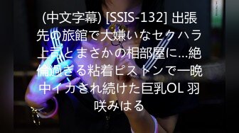 (中文字幕) [SSIS-132] 出張先の旅館で大嫌いなセクハラ上司とまさかの相部屋に…絶倫過ぎる粘着ピストンで一晩中イカされ続けた巨乳OL 羽咲みはる