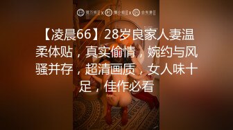 【凌晨66】28岁良家人妻温柔体贴，真实偷情，婉约与风骚并存，超清画质，女人味十足，佳作必看