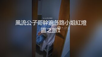 風流公子哥幹遍各路小姐紅燈區之旅1