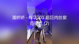 潘娇娇 - NO.001 超巨肉丝紫薇骚话 (2)