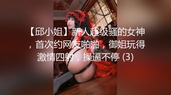 【邱小姐】新人超级骚的女神，首次约网友啪啪，御姐玩得激情四射，操逼不停 (3)